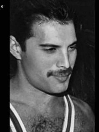 Freddie Mercury Queen Early Years Vintage Sexy Concert 8x11 Photo Reprint Rp