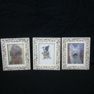 3 Vintage Wood Wall Frames Ivory W/gold Gilt Scroll 7 X 6 Ornate Shabby Chic
