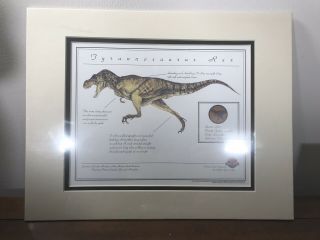 Vintage 1997 Jurassic Park The Lost World T Rex Print Universal,  14 " X 11 "
