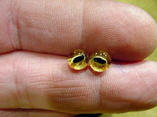A Pair Vintage Solid Doll Glass Eyes 7 Mm For Snake Taxidermy Age1910 A 3214