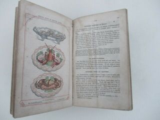 First Edition - THE BOOK OF HOUSEHOLD MANAGEMENT BY MRS.  ISABELLA BEETON,  1861 6