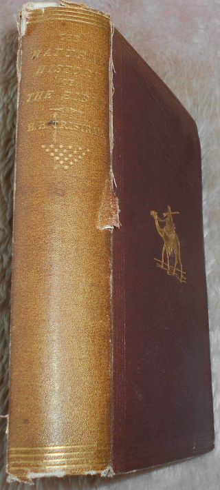 1868 Natural History of the Bible Holy Land Antiquarian Natural History 3
