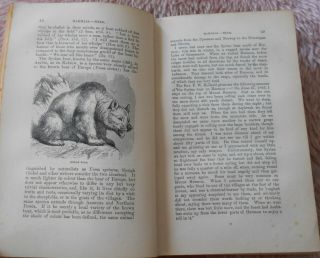 1868 Natural History of the Bible Holy Land Antiquarian Natural History 5