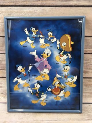 Disney Vintage Donald Duck Then And Now Poster 8 " X10 " One Stop Posters