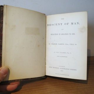 1871 - CHARLES DARWIN - DESCENT OF MAN - 1ST EDITION,  2 VOLS ILLUSTRATED,  SCARCE 4