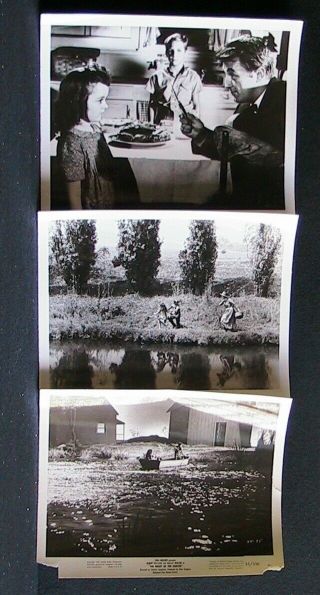 Vintage 9 Pic Lot;robert Mitchum: " Night Of The Hunter " Shelly Winters