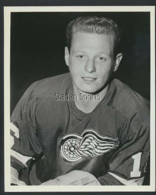 Bruce Macgregor Detroit Red Wings Vintage Nhl Hockey Press Photo