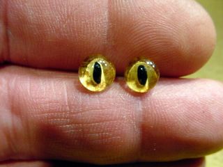 A Pair Vintage Solid Doll Glass Eyes 7 Mm For Snake Taxidermy Age1910 A 3205