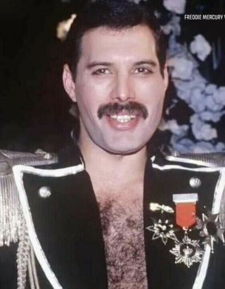 Freddie Mercury Queen Sexy Vintage Concert 8x11 Glossy Photo Print