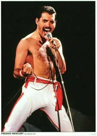 Freddie Mercury Queen Sexy Vintage Photo 8 X 11 Inch Promo