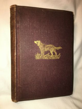 " On The Wing,  A Book For Sportsmen " By John Bumstead,  With Illustrations,  1869