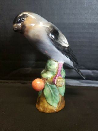 Spode Copeland’s China England Porcelain Bird Figurine Vintage Cond.
