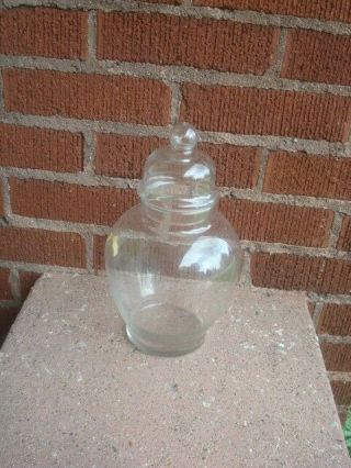 Vintage Ginger Jar Clear Glass Apothecary/terrarium Lidded 11 " Tall