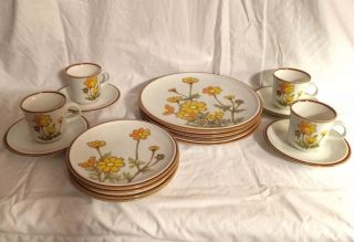 16pc Set Of 4 Vintage Mikasa Natural Beauty Southern Sun Dinner Plates Cups