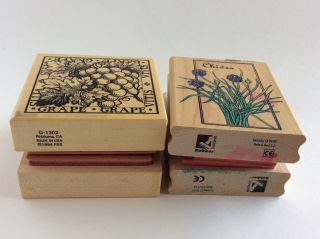 Vintage 1994 - 95 Wood Mounted Rubber Stamps - Fruits & Spices Cards Scrapbooking 4