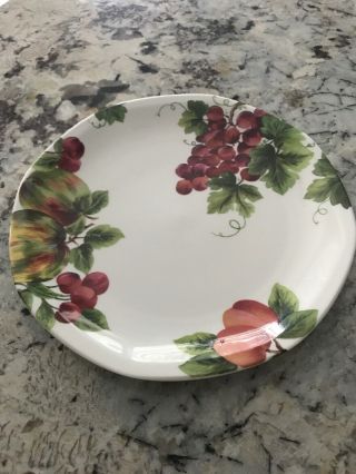 Royal Doulton Vintage Grape Tc 1193 Fine China Dinner Plate,  1994 7 Available
