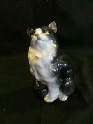 Vintage Royal Doulton Bone China Persian Cat Figurine Hn 999