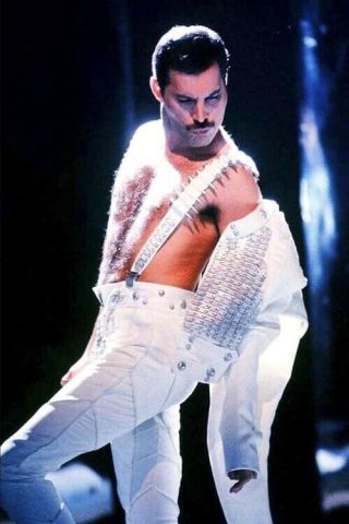 Freddie Mercury Queen Sexy Vintage Concert Photo 8 X 11 Inch