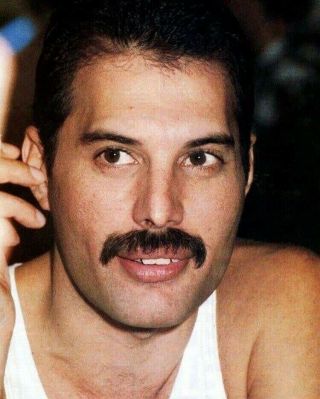 Freddie Mercury Queen Sexy Vintage Photo 8 X 11 Inch Hot Smiling