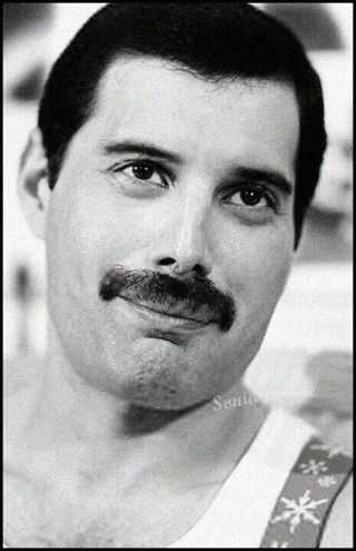 Freddie Mercury Queen Sexy Vintage Photo 8 X 11 Inch Hot