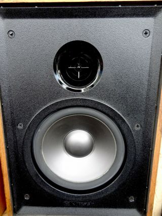 Pair U.  S.  A.  Sequential Klipsch KG 1.  2 Oak Oil speakers and sound 7