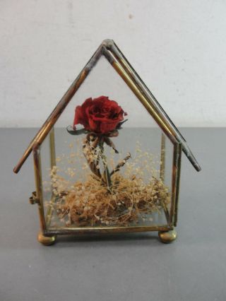 Glass Brass House Box Home Decor Rosebud Dried Flowers Container Display Vintage