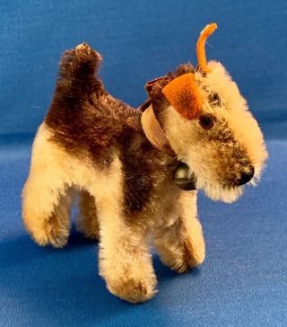Vintage Steiff Fox Terrier Dog " Foxy ",  4 " Mohair With Bell Ribbon,  Button In Ear