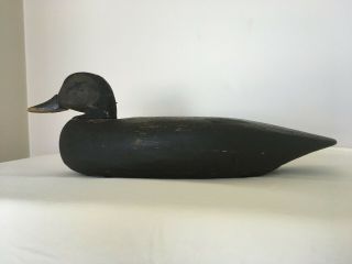 Vintage Black Duck Decoy Solid Wood,  Old,  Worn Paint.