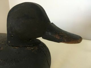 Vintage Black Duck Decoy Solid Wood,  Old,  Worn Paint. 5