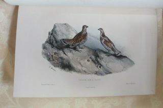 Victor Adam,  18 colour plates of game birds from Musee du Chasseur,  finely bound 8