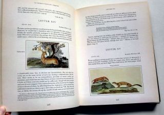 Gilbert White The Illustrated Natural History of Selborne 1981 1st Edition HB 4