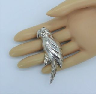 Huge 2.  75 " Bird Vintage Sterling Silver Parrot Figural Brooch Pin Nf S& Pendant