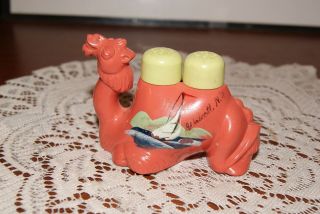 Vintage.  Plastic.  Souvenir.  Walcott Ny.  Camel.  Salt & Pepper Shakers