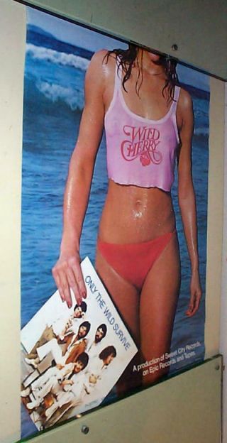 Wild Cherry Vintage 1979 Epic Promo Poster Last One