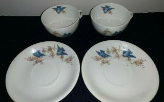 (Set of 2) Vintage Homer Laughlin BLUEBIRD China CUPS and SAUCERS 4