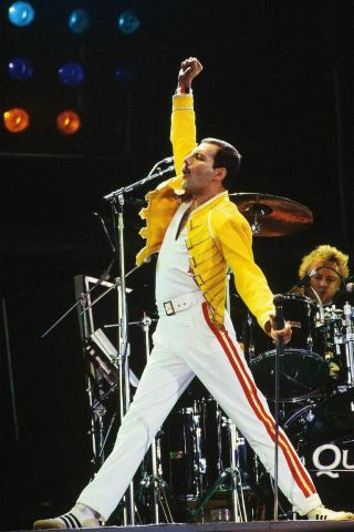 Freddie Mercury Queen Sexy Vintage Concert 8x11 Glossy Photo Print Reprint Rp