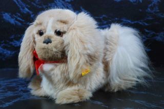 Vintage Steiff Western Germany Stuffed Plush " Pekey " Pekingese Dog 2890/22