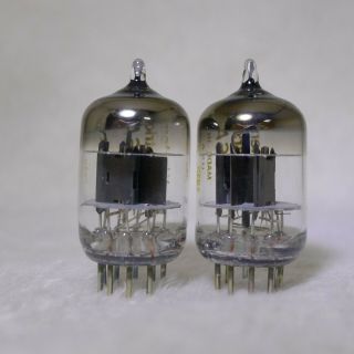 NOS/NIB Matched Pair Western Electric 396A/2C51 tubes O - Getter Same Date 1979 5
