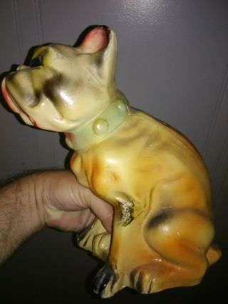 VINTAGE CARNIVAL CHALKWARE BULL DOG COIN BANK - 11 INCHES TALL 2