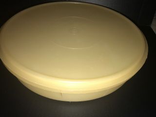 Vintage Tupperware Round Pie Cake Cupcake Pastry Container Sheer 242 With Lid