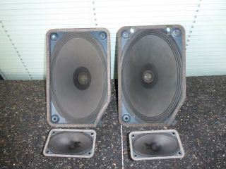 Big Isophon P2132 Fullrange Speaker,  Tweeter Alnico Magnet 21 X 32cm P 2132