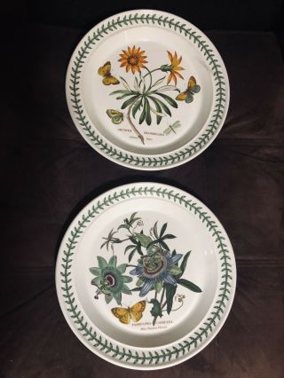 1972 Vintage Portmeirion Botanic Garden Dinner Plates Vintage -