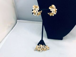 Vtg.  Crown Trifari Demi Faux Pearl & Gold Tone Flowers/leaves Brooch/earrings