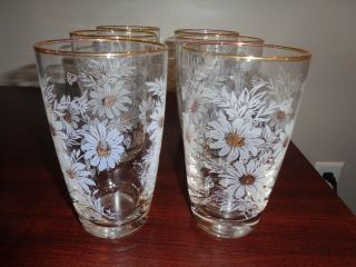 Vintage Libbey Clear Drinking Glasses White Daisies Gold Rims Set Of 6