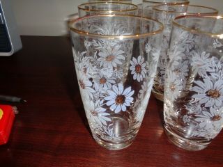 Vintage Libbey Clear Drinking Glasses White Daisies Gold Rims Set of 6 2