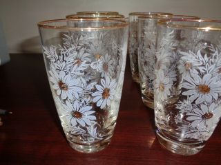 Vintage Libbey Clear Drinking Glasses White Daisies Gold Rims Set of 6 3