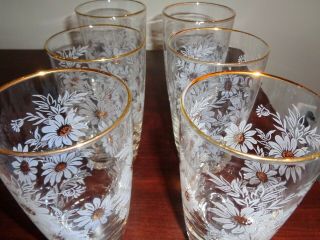 Vintage Libbey Clear Drinking Glasses White Daisies Gold Rims Set of 6 4