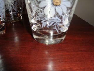 Vintage Libbey Clear Drinking Glasses White Daisies Gold Rims Set of 6 5