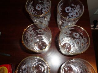 Vintage Libbey Clear Drinking Glasses White Daisies Gold Rims Set of 6 6