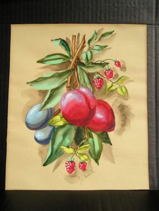 A Vintage Fruit Watercolor Painting Picture Signed Ready To Frame 10 X 12